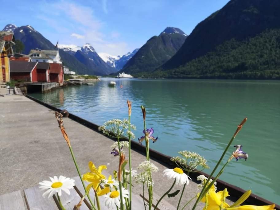 Sogndal Ski- And Mountain Cabin المظهر الخارجي الصورة