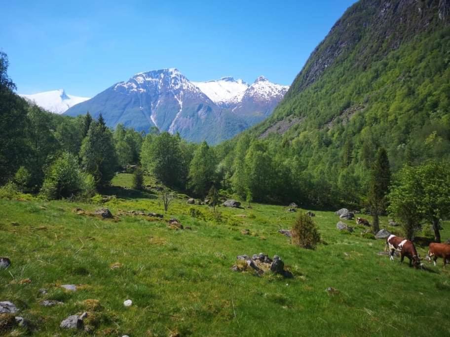 Sogndal Ski- And Mountain Cabin المظهر الخارجي الصورة
